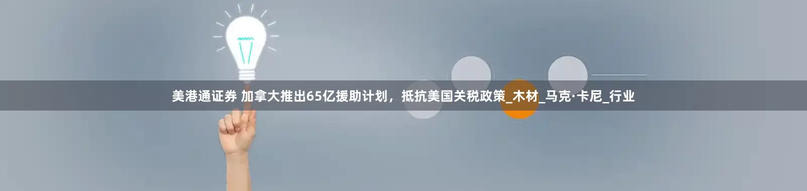 美港通证券 加拿大推出65亿援助计划，抵抗美国关税政策_木材_马克·卡尼_行业